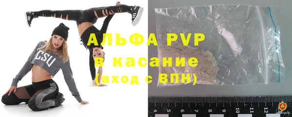 сатива Богородицк