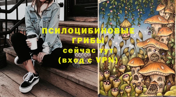 сатива Богородицк