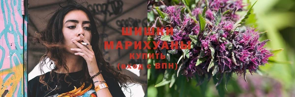 ПСИЛОЦИБИНОВЫЕ ГРИБЫ Богородск