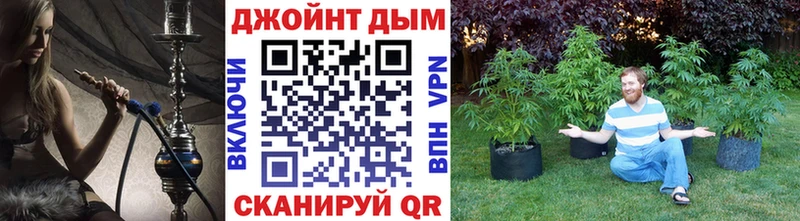 где купить наркоту Старица Бошки марихуана конопля